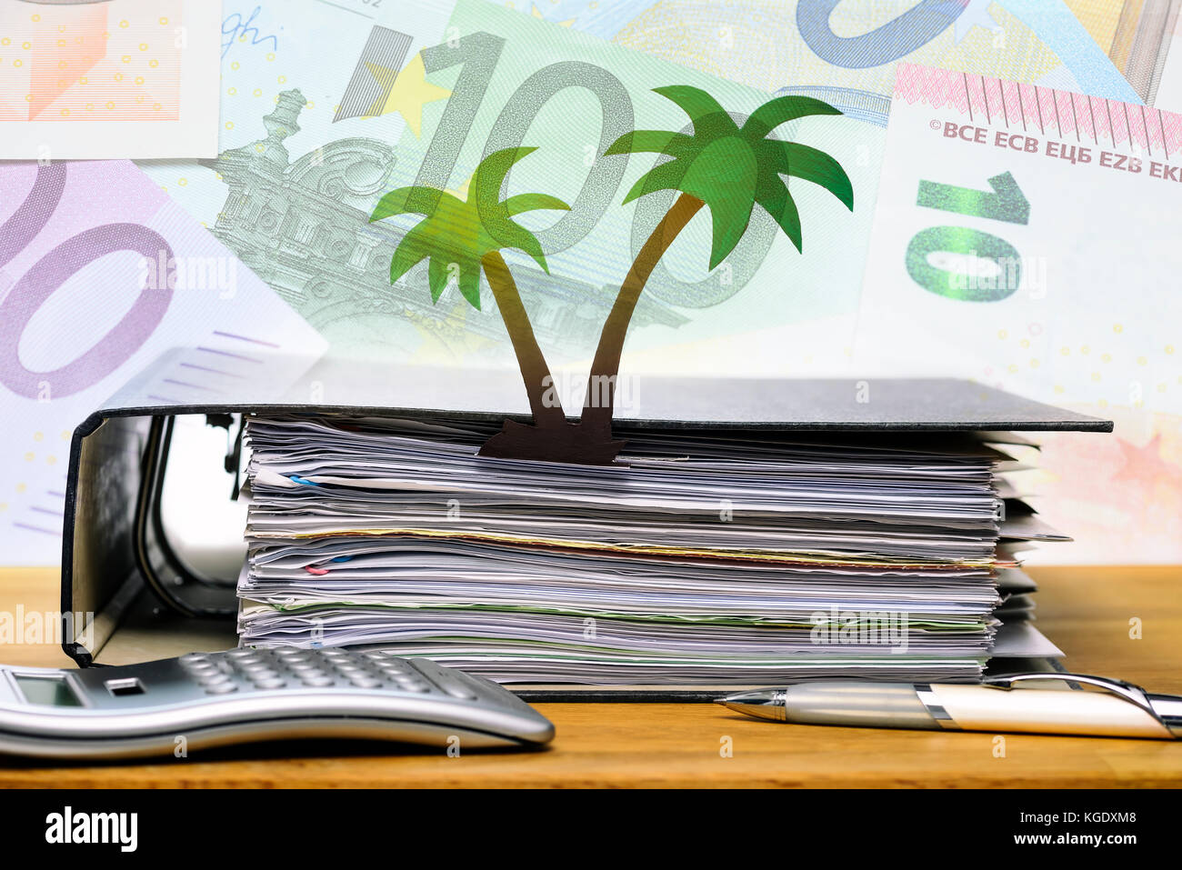 Palmier et papier, de dossier documents paradis Banque D'Images