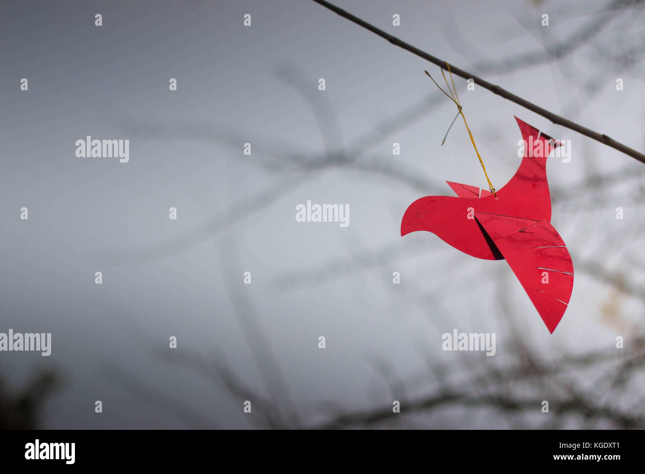 Rouge brillant ornement oiseau sur une branche avec ciel d'hiver froid à l'arrière-plan. Fond d'écran parfait, avec copyspace. Banque D'Images