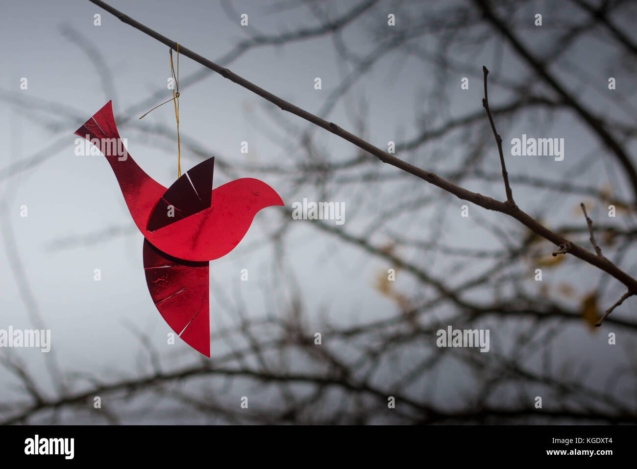 Rouge brillant ornement oiseau sur une branche avec ciel d'hiver froid à l'arrière-plan. Fond d'écran parfait, avec copyspace. Banque D'Images