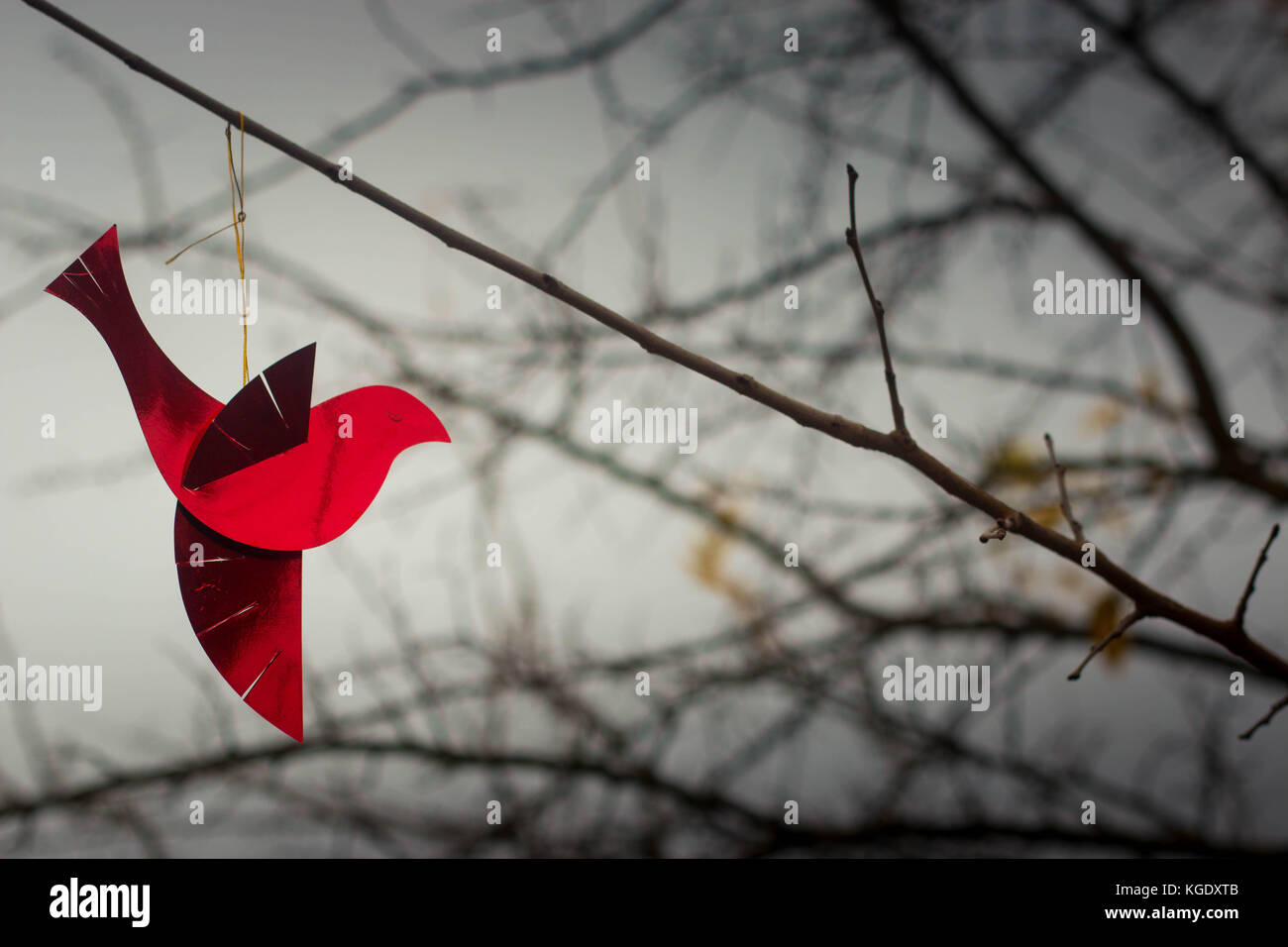 Rouge brillant ornement oiseau sur une branche avec ciel d'hiver froid à l'arrière-plan. Fond d'écran parfait, avec copyspace. Banque D'Images