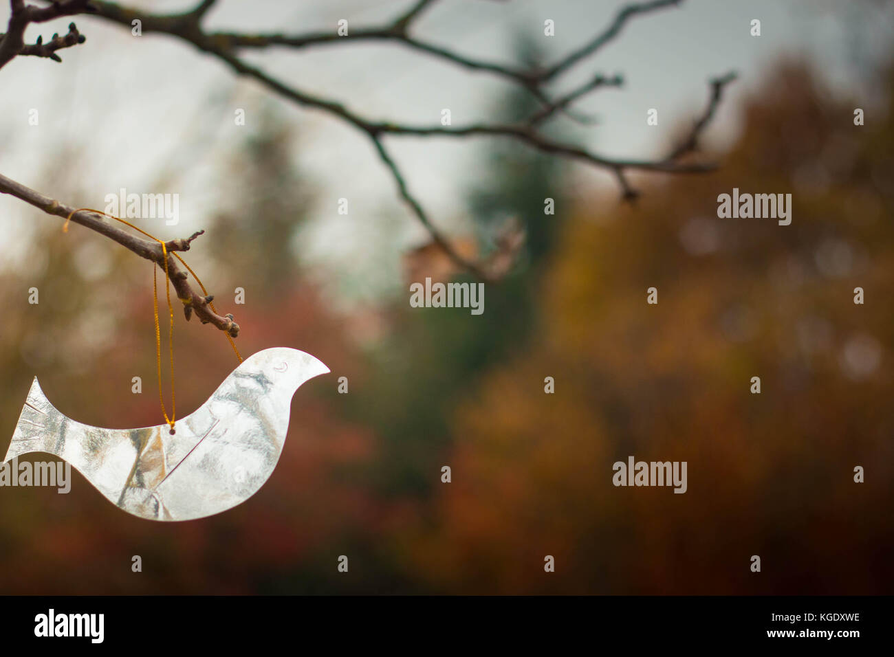 Oiseau brillant ornement sur une branche avec ciel d'hiver froid à l'arrière-plan. parfait papier peint, avec copyspace. Banque D'Images