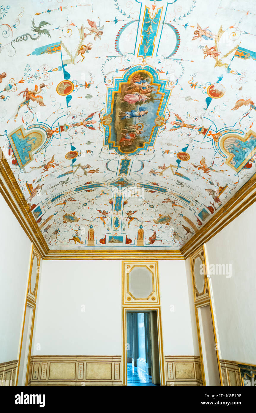 Rivoli, Italie - 14 août 2016 : le chat royal de Rivoli Banque D'Images
