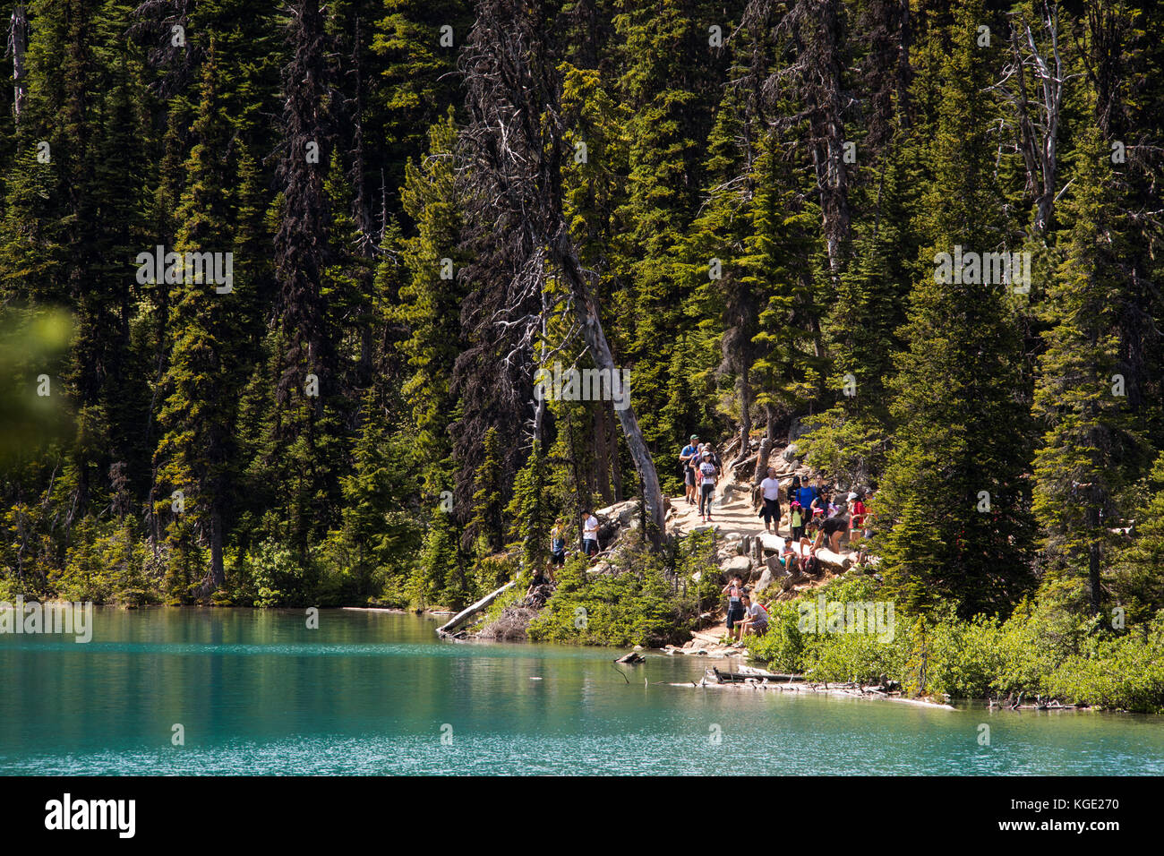 Le lac inférieur, Joffre Lakes Provincial Park, Canada Banque D'Images