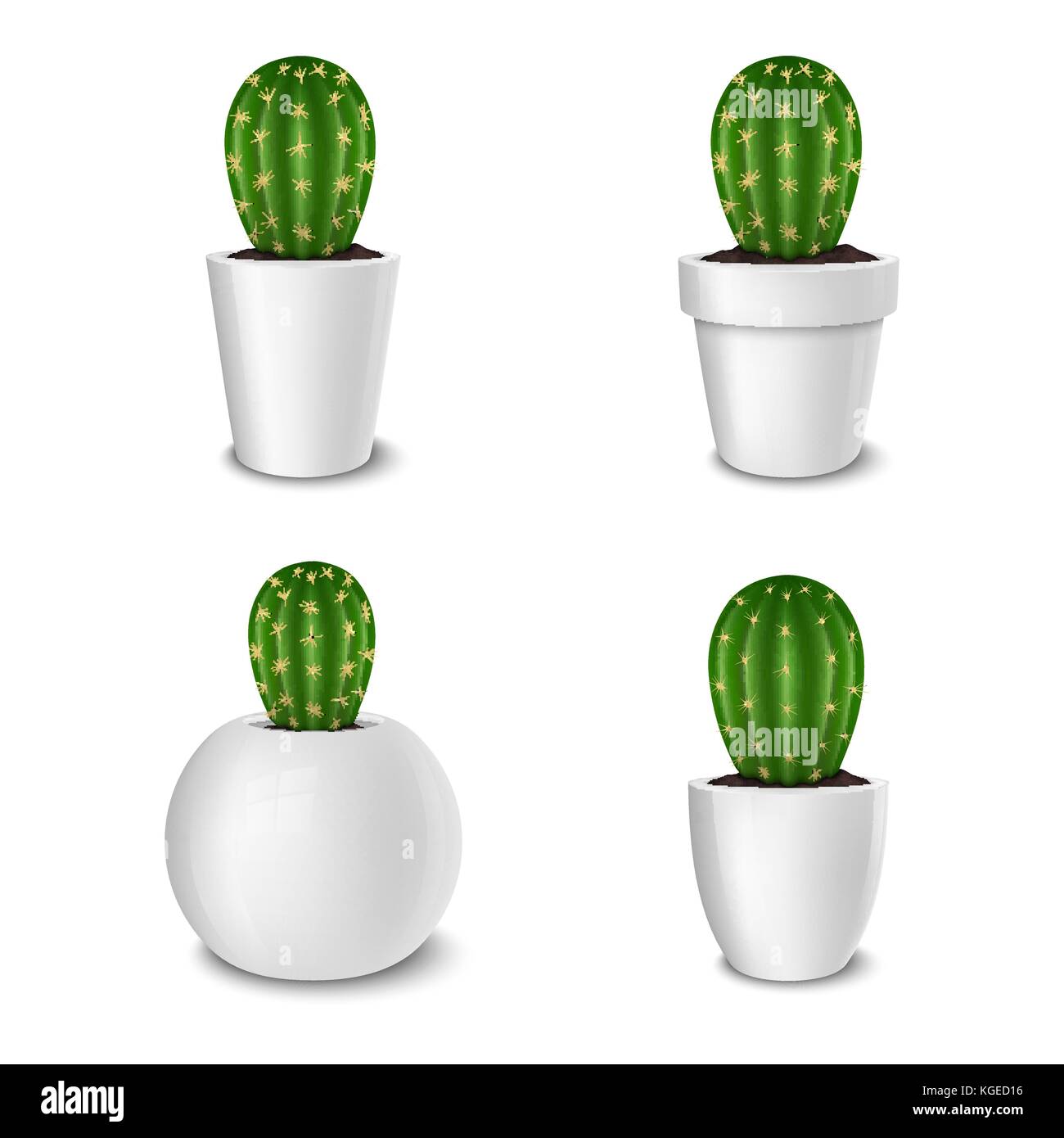 Décoration Réaliste Cactus En Pot De Fleur Blanche Icon Set