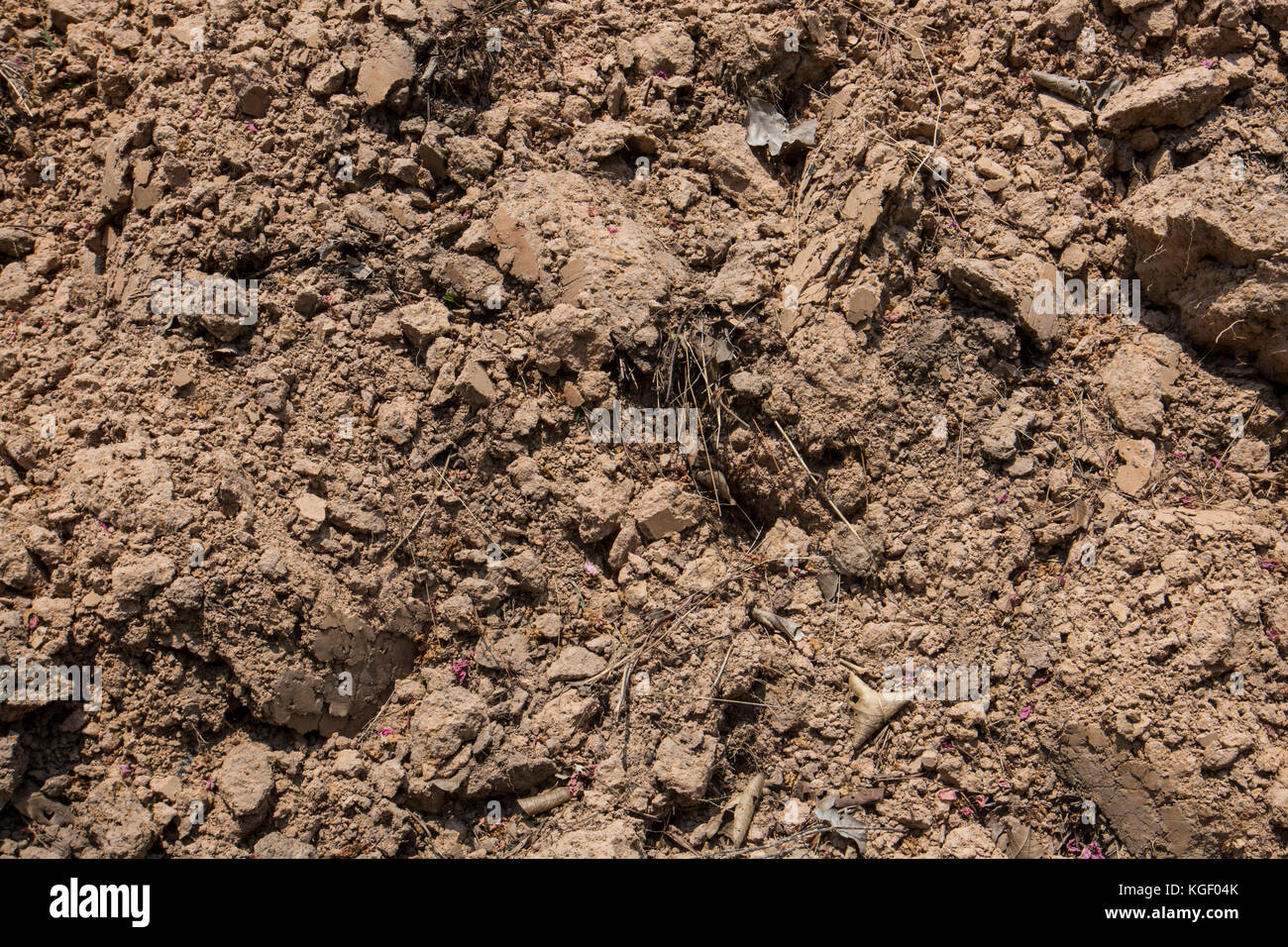 La Texture Du Sol Close Up De Terre Organique Pour Les Fonds Texture De Sol Vue De Dessus D Une Surface Du Sol Close Up Macro Vision De Terre Et De Pierres Le Sol Photo Stock