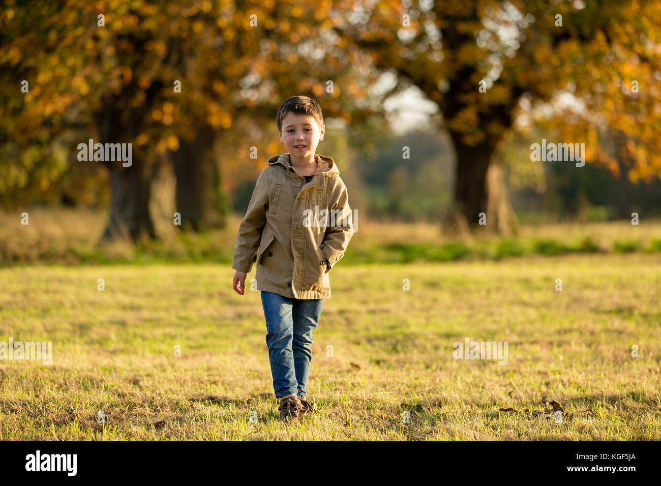 Garçon marche dans le parc de Castletown avec sa météo novembre avec les arbres à feuilles caduques se défont de leur feuilles en couleurs automnales riches celbridge. Banque D'Images