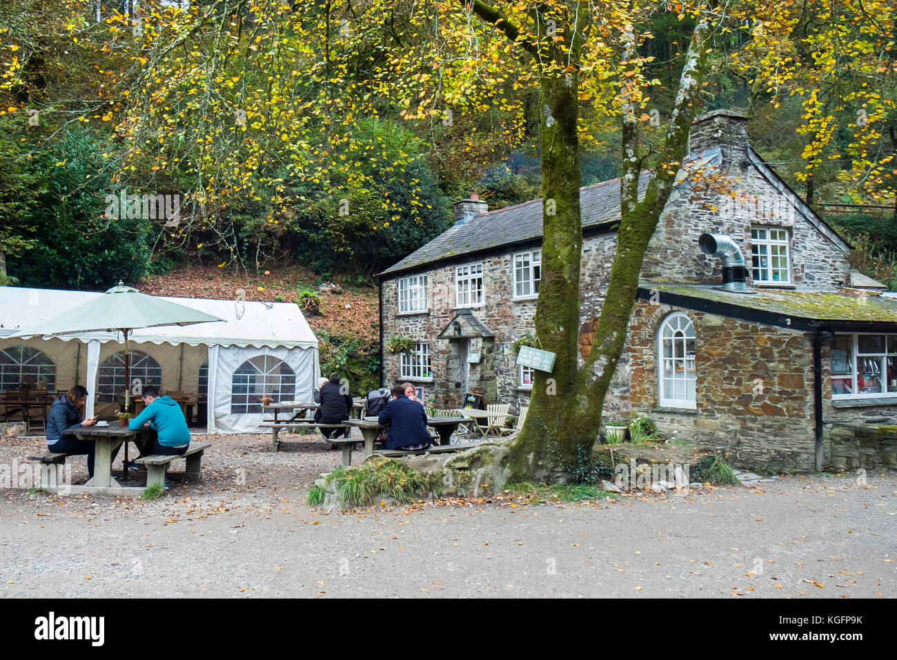 Cardinham Woods à Cornwall - un petit salon de thé à Cardinham Woods à Bodmin Cornwall. Banque D'Images