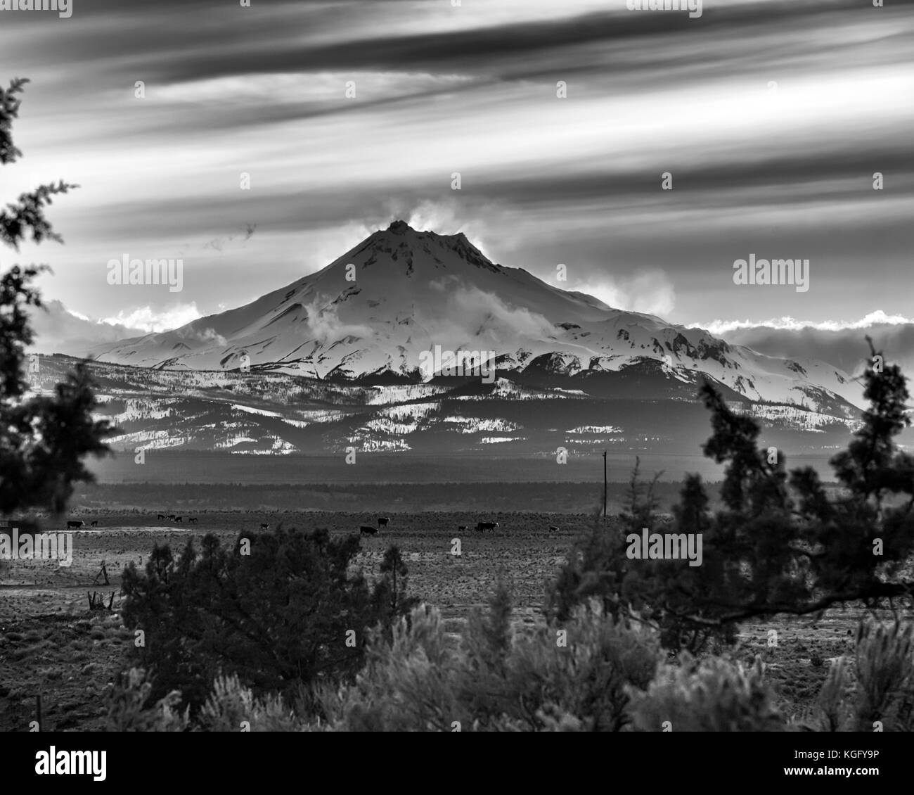 Nuages vent mettez en surbrillance le coucher du soleil sur le mont Jefferson dans le centre de l'oregon avec des vaches et du désert en premier plan Banque D'Images