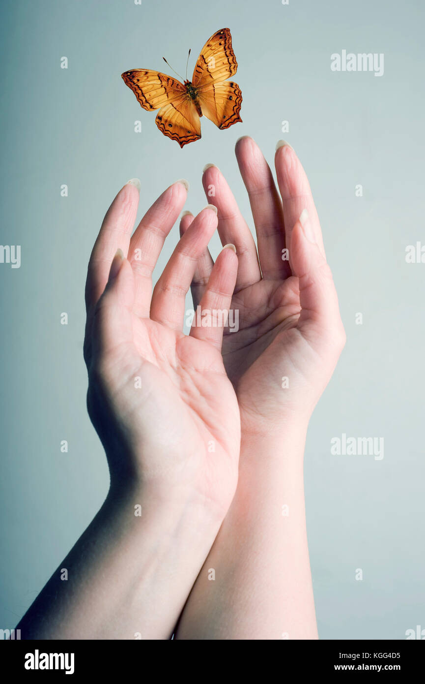 Laisser les mains des femmes s'envoler un papillon Banque D'Images