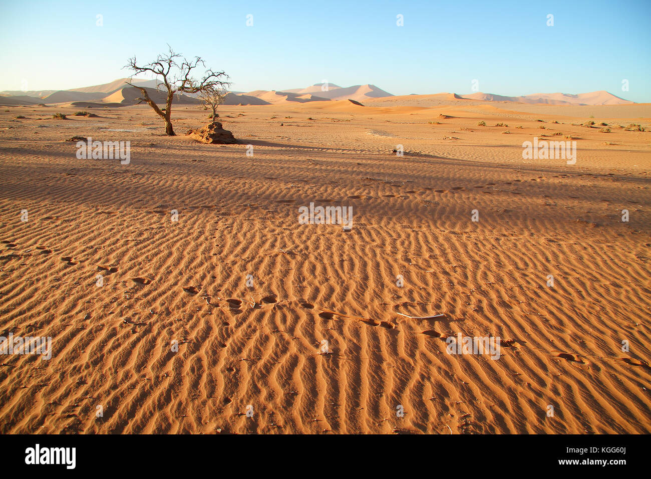 Paysage désertique de sossusvlei, le parc national namib naufluft, désert du namib, Namibie. Banque D'Images