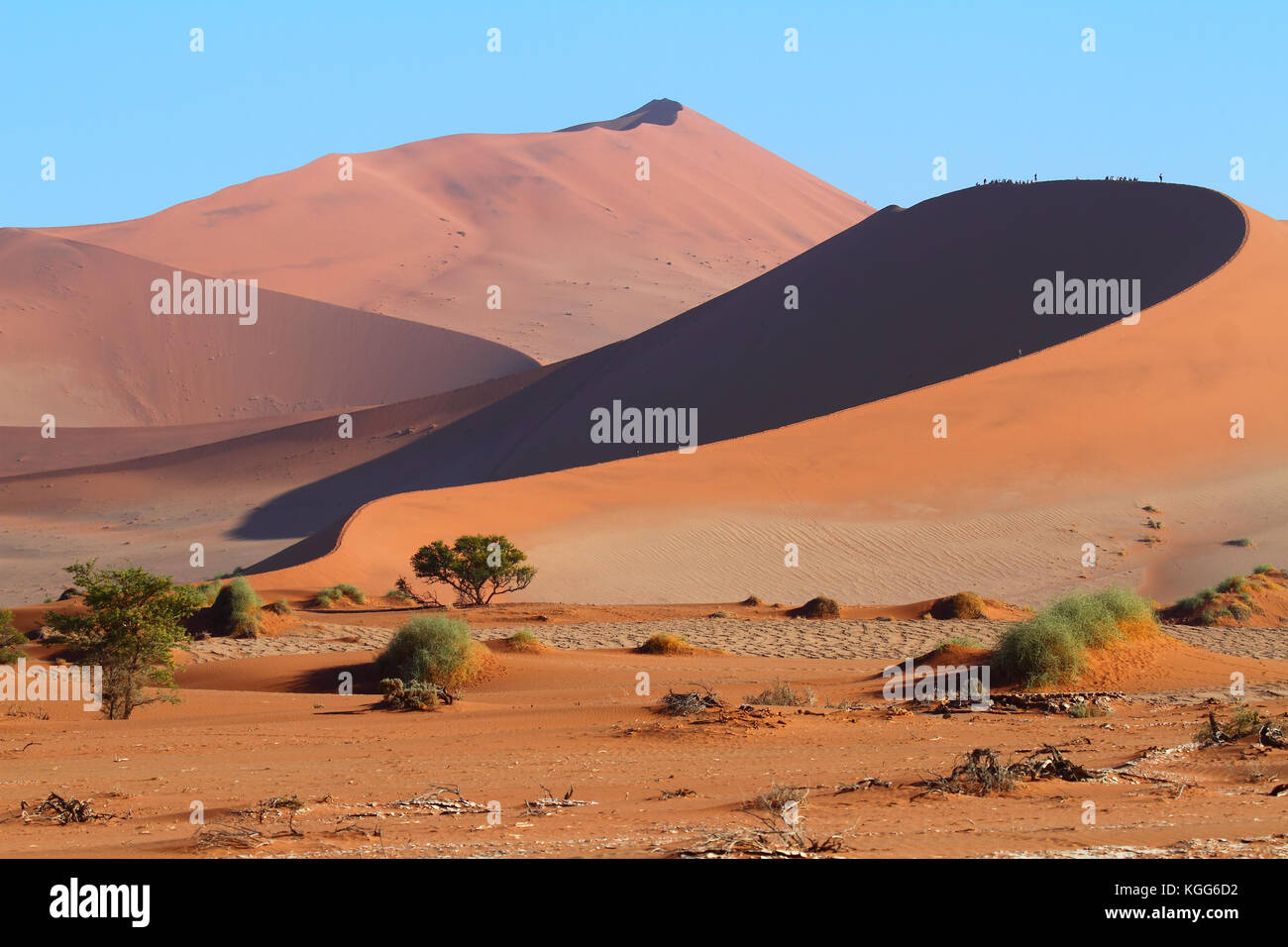 Grandes dunes de Sossusvlei, le Parc National Namib Naukluft, désert du namib, Namibie. Banque D'Images