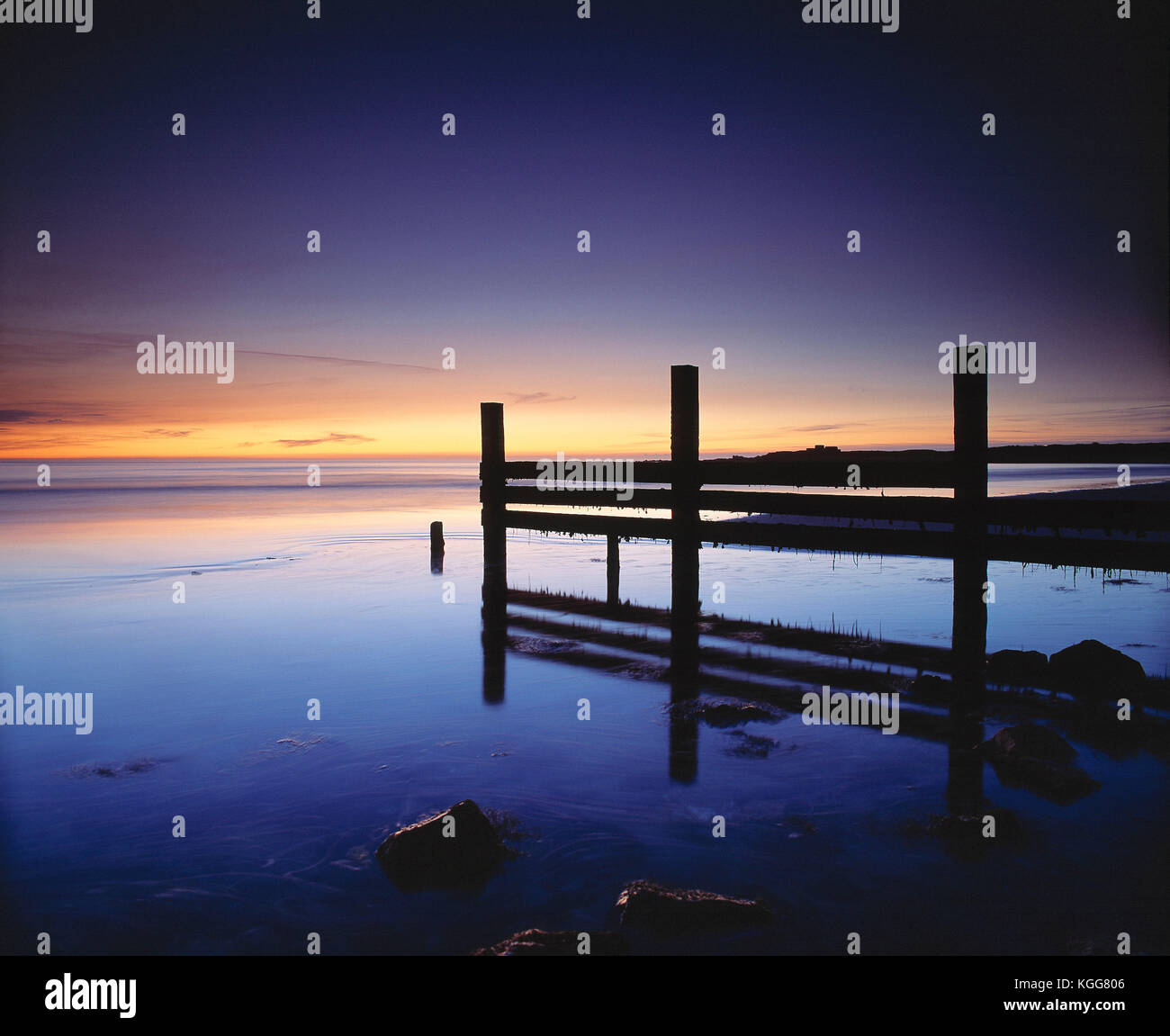 Channel Islands. Guernesey. Silhouette d'épis sur la défense de la mer plage de Vazon au crépuscule. Banque D'Images