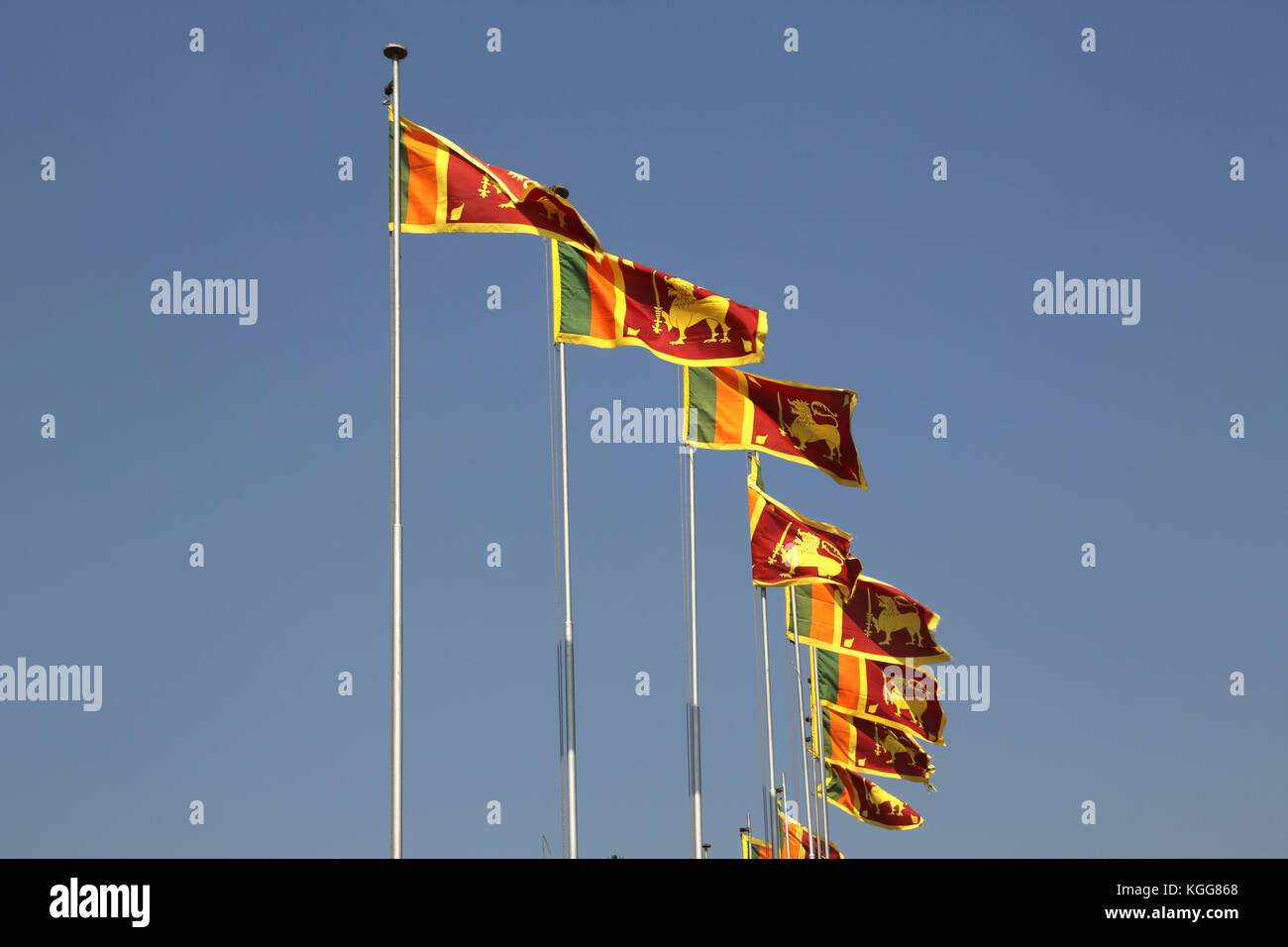 Drapeaux commémoration de l'indépendance du Sri Lanka à la cannelle hall gardens colombo Sri lanka Banque D'Images