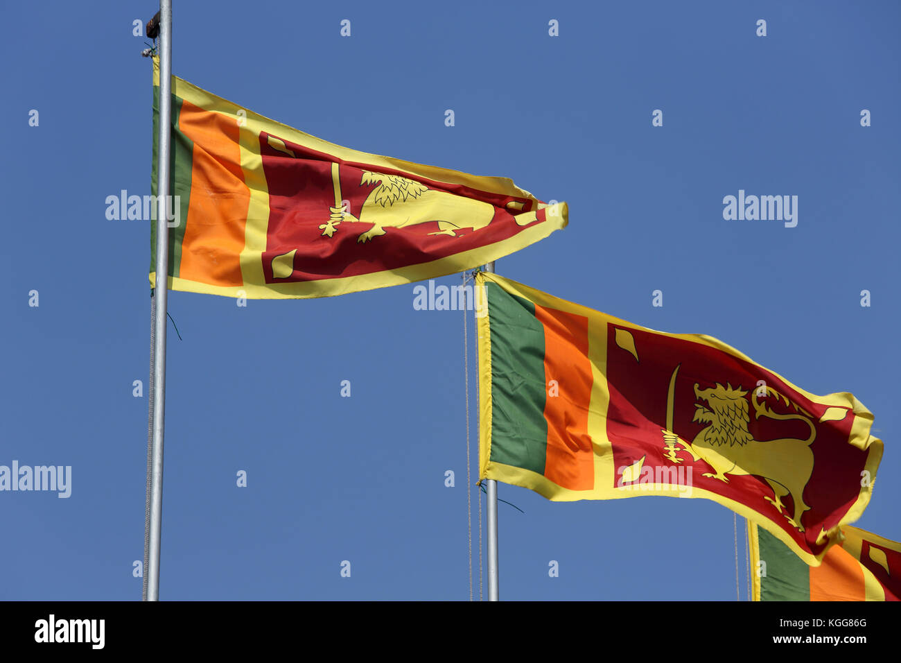 Drapeaux commémoration de l'indépendance du Sri Lanka à la cannelle hall gardens colombo Sri lanka Banque D'Images