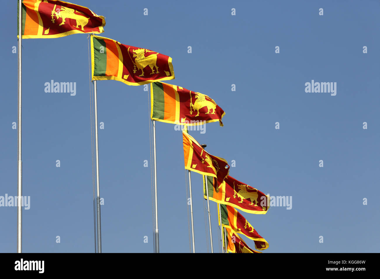 Drapeaux commémoration de l'indépendance du Sri Lanka à la cannelle hall gardens colombo Sri lanka Banque D'Images