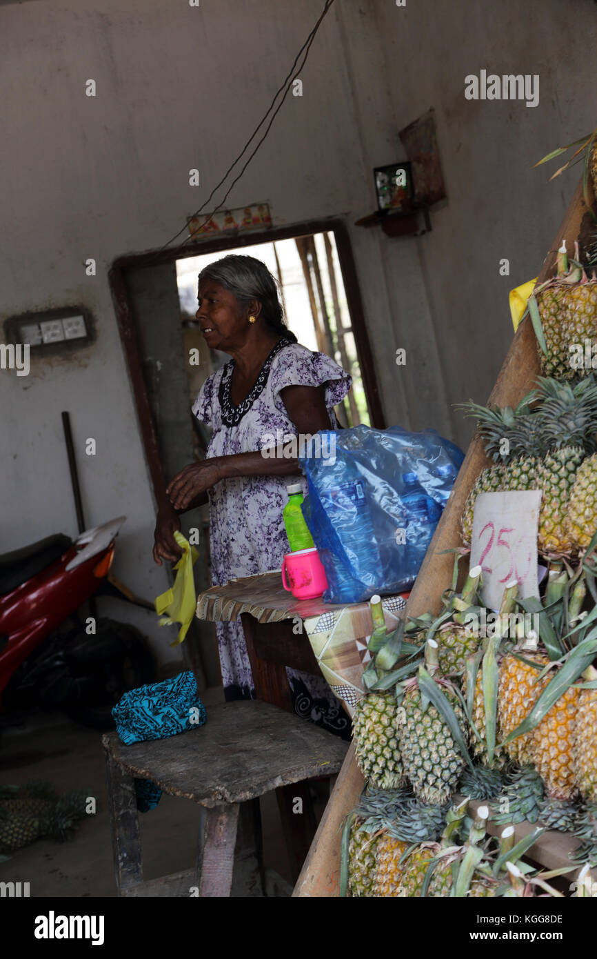 North Western Province Sri Lanka Femme vendant des ananas Banque D'Images
