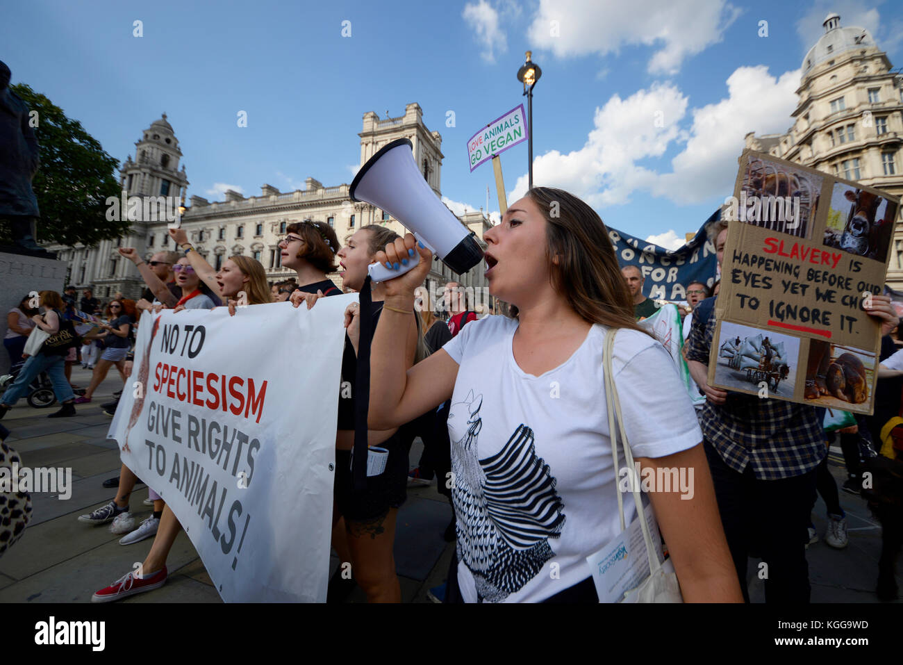 Femme militante vegan crier par mégaphone porte-voix forte dans Whitehall Londres pendant une manifestation de protestation pour les droits des animaux mars rallye. Banque D'Images
