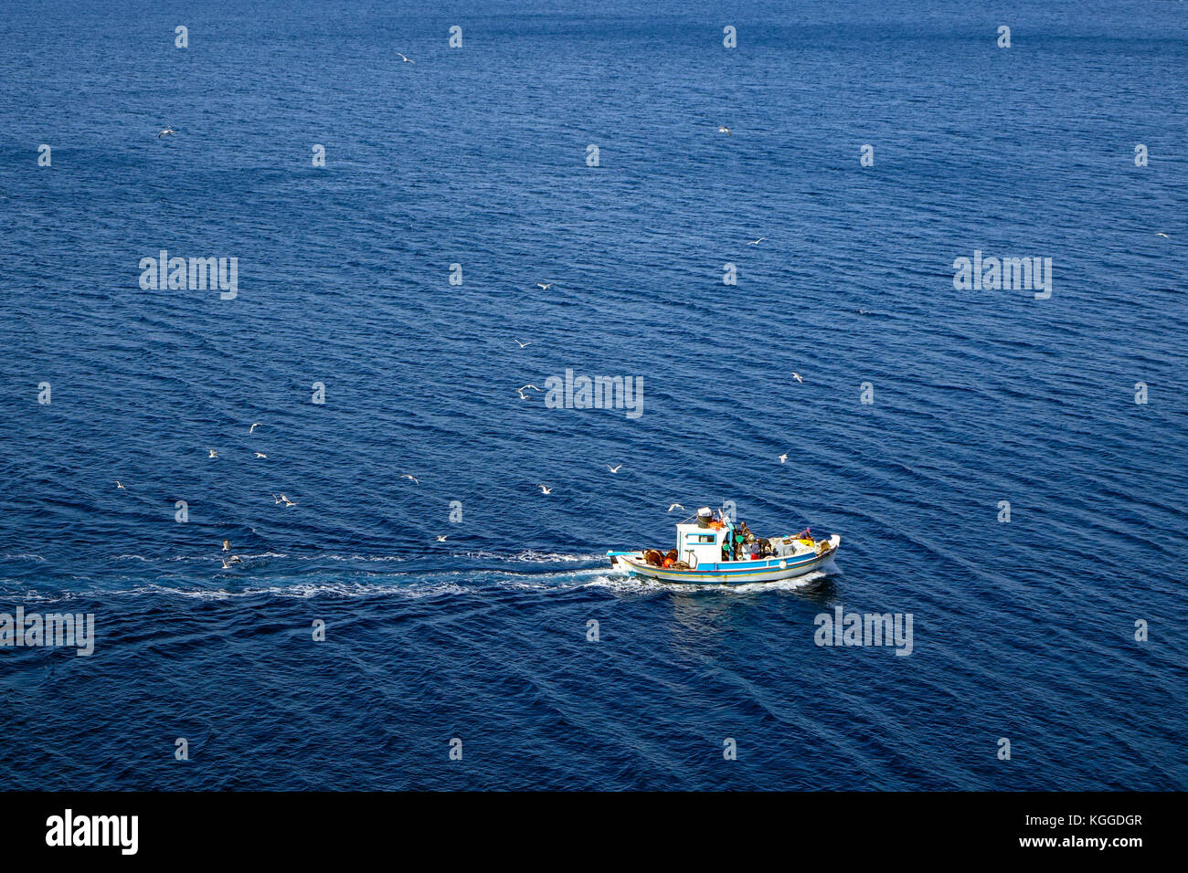 Bateau de pêche bleu et blanc sur bleu mer avec des mouettes, Kalymnos, Grèce Banque D'Images