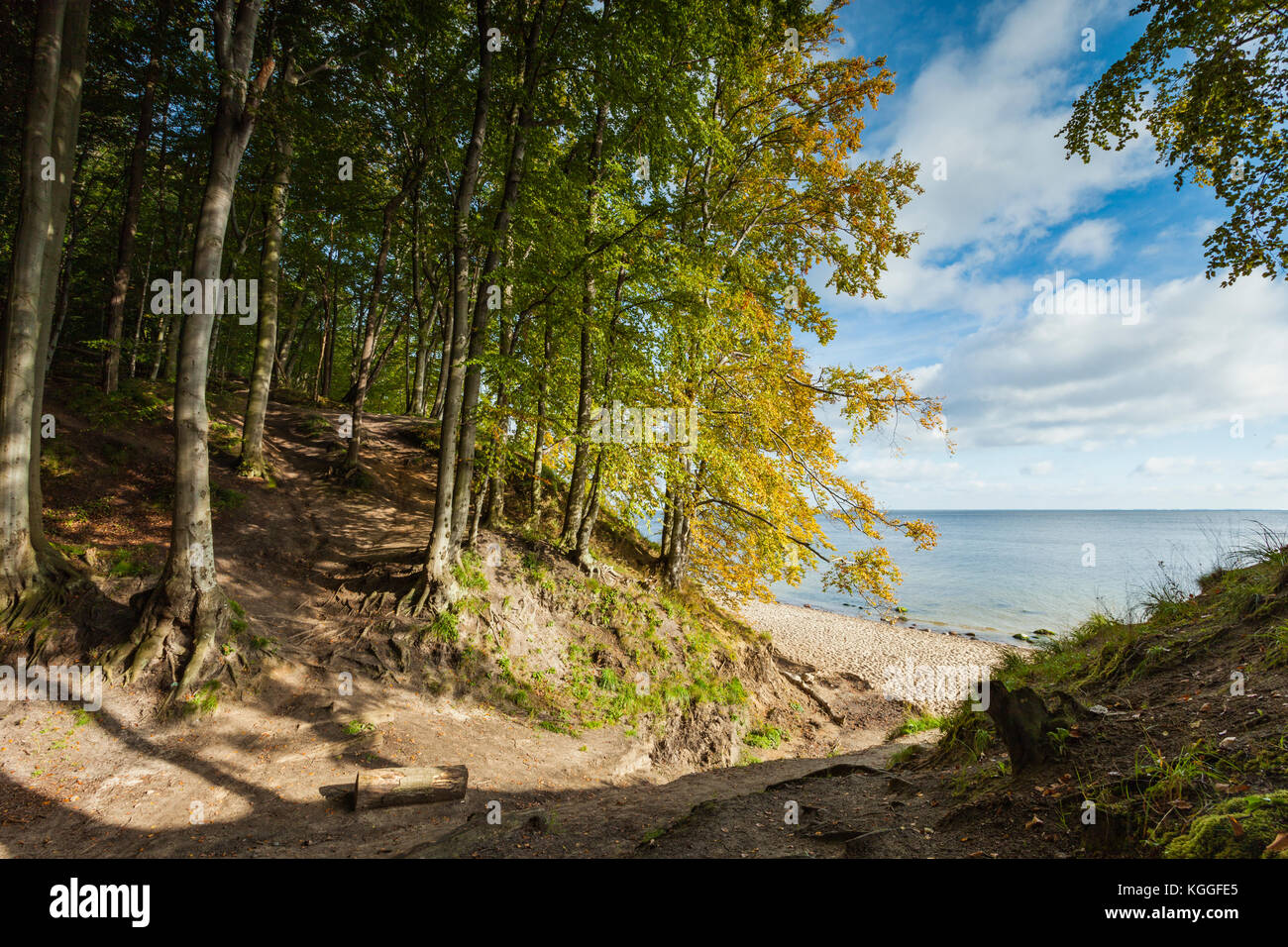 Matin d'automne sur la falaise à Gdynia Orlowo, Pologne. Banque D'Images