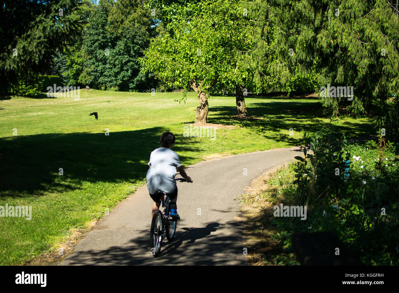 Balade à vélo de l'été - une randonnée à vélo à travers la ville de Lynden Park est une grande manière de passer une chaude journée d'été en juin. Un garçon chevauche son vélo sur un sentier du parc. Banque D'Images