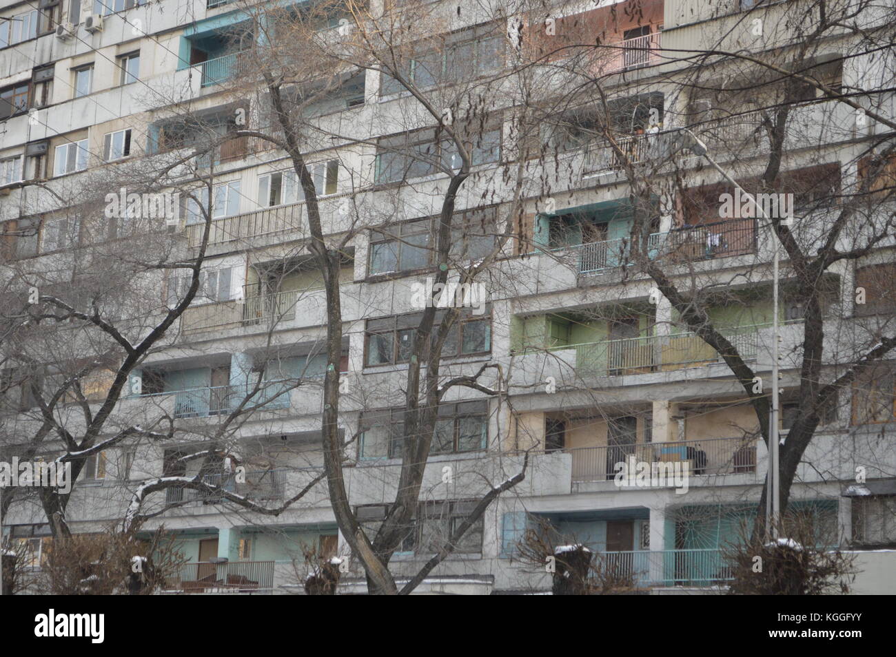 Immeuble d'appartements communiste avec arbres enneigés et balcons colorés. Almaty, Kazakhstan Banque D'Images