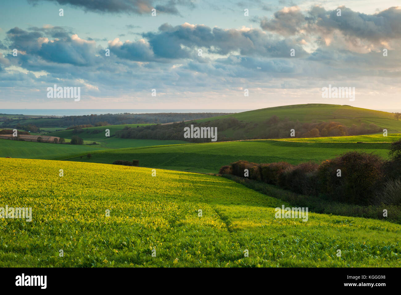 Coucher du soleil d'automne dans le parc national des South Downs, West Sussex, Angleterre. Banque D'Images