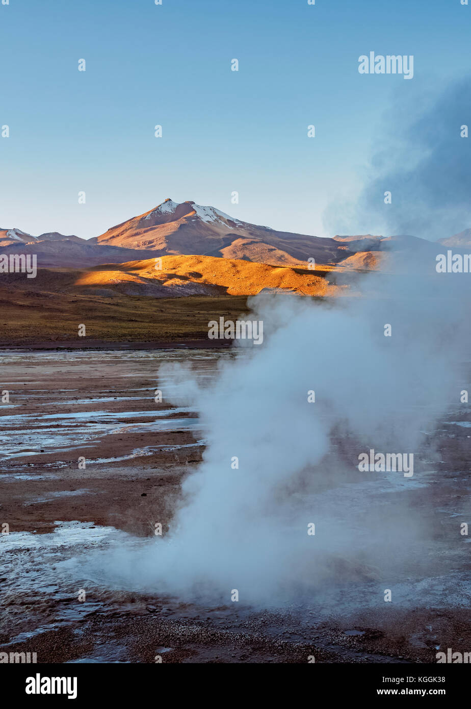Des geysers El Tatio, sunrise, région d'Antofagasta, Chili Banque D'Images