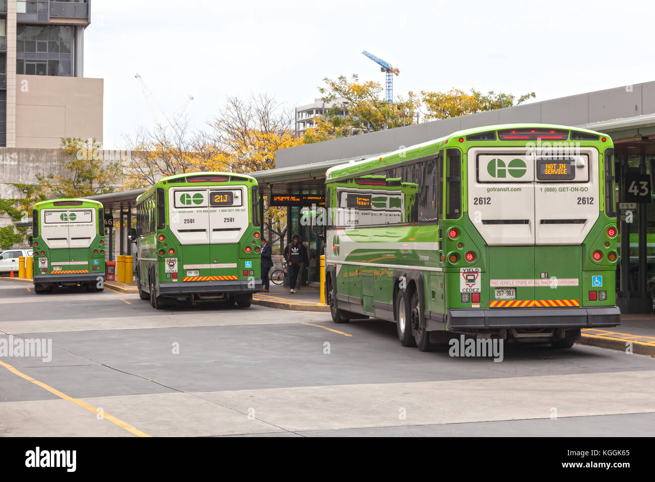 Toronto, Canada - oct 11, 2017 : GO Transit de bus à la gare Union Station d'autocars à Toronto, Canada Banque D'Images