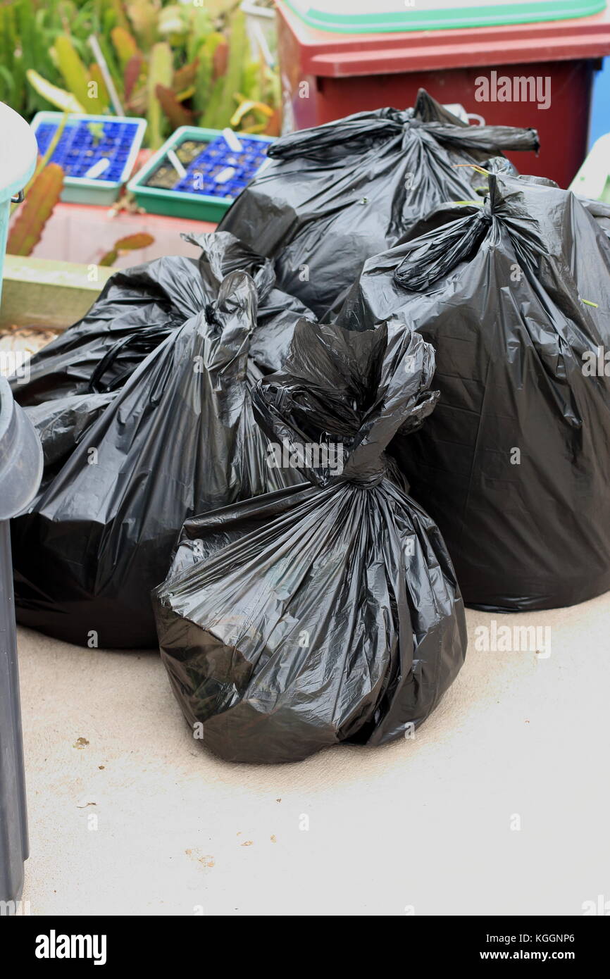Des sacs de déchets ménagers prêt à être jeté dehors Banque D'Images