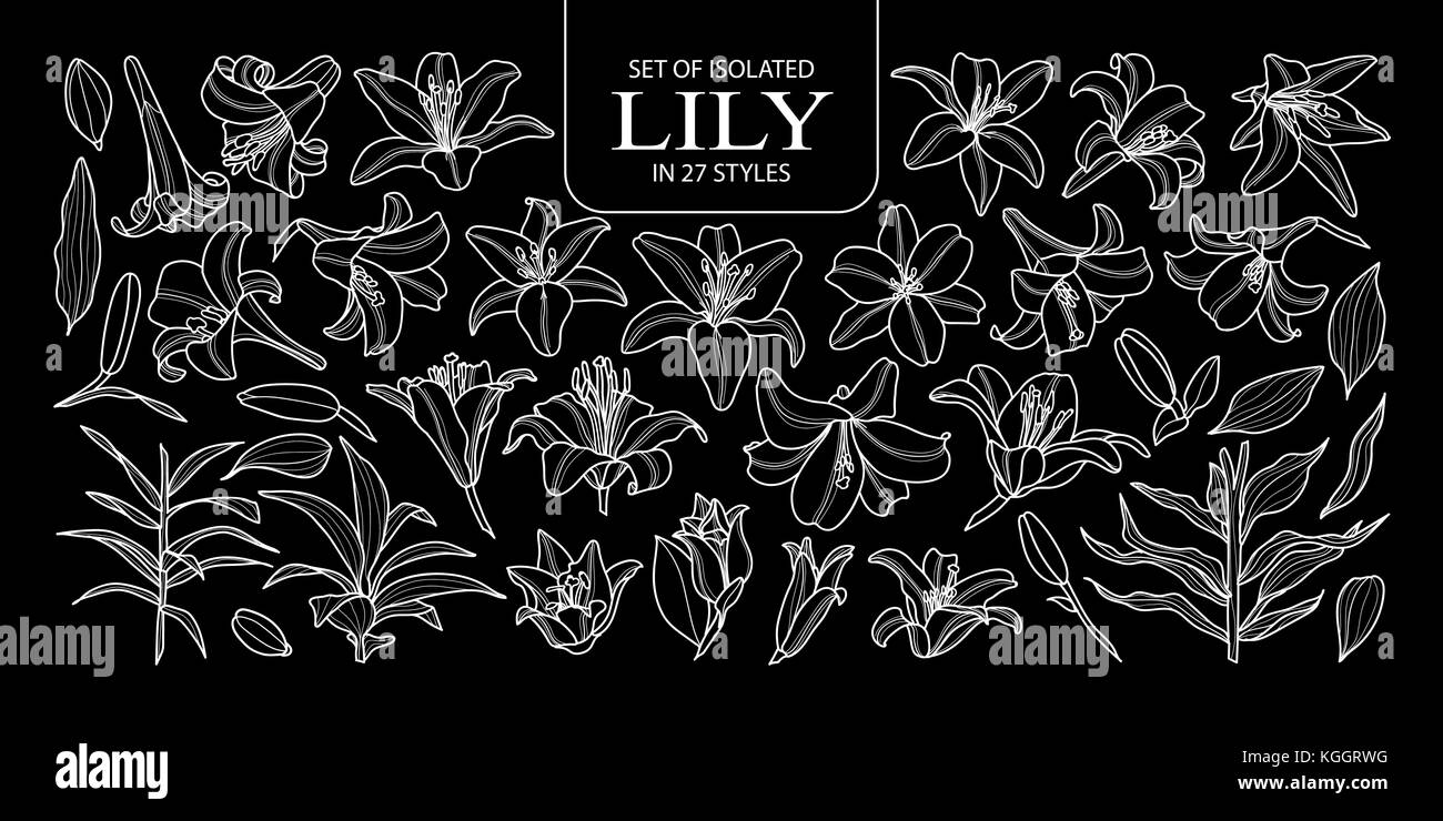 Ensemble de lily isolés dans 27 styles. cute hand drawn vector illustration fleur contour blanc sur fond noir. Illustration de Vecteur