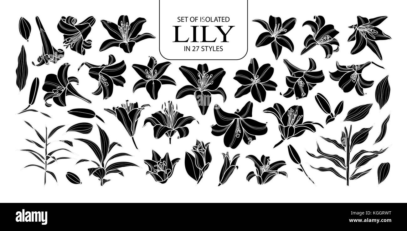 Ensemble de silhouette isolés dans 27 lily styles. mignon vecteur illustration de fleurs à la main en noir et blanc indiquant plan sur fond noir. Illustration de Vecteur