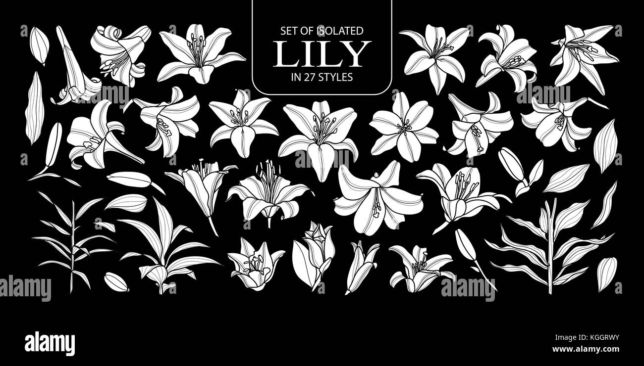 Ensemble de silhouette blanche isolée dans 27 lily styles. cute hand drawn vector illustration fleurs en avion blanc et sans contour sur fond noir. Illustration de Vecteur