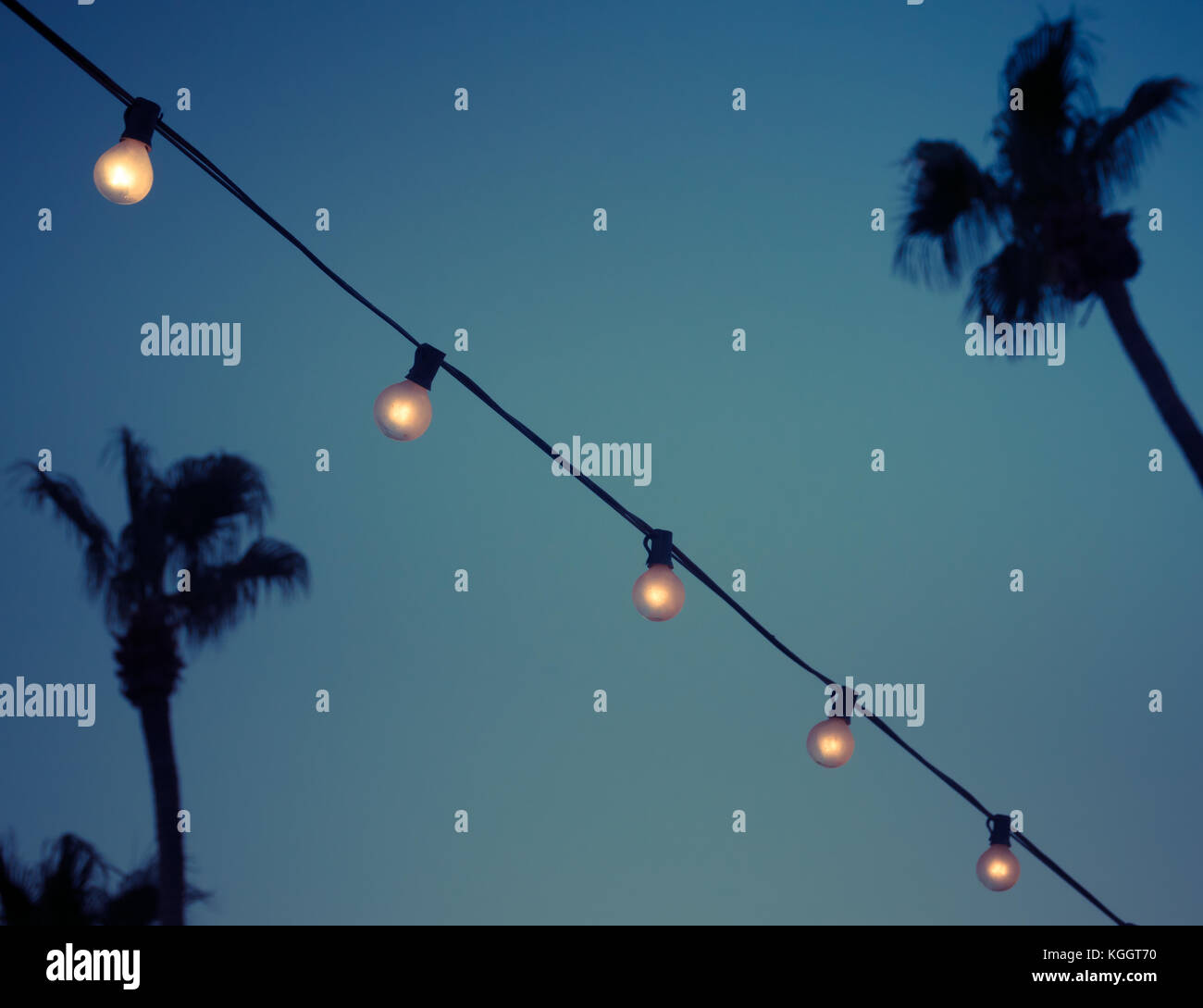 String de vintage ampoules dans jardin tropical Banque D'Images