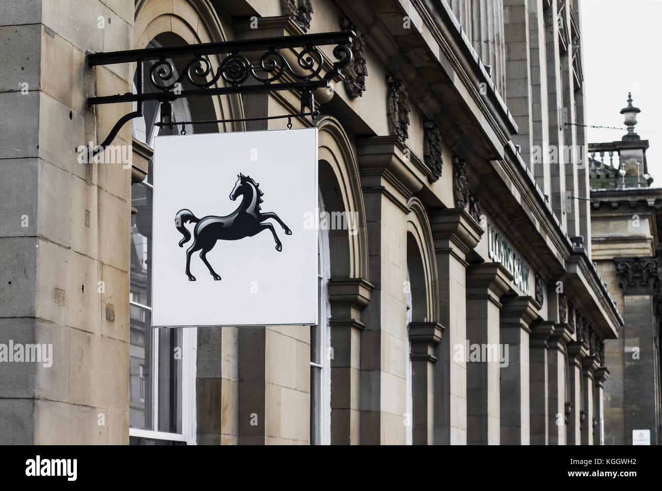 La Lloyds Bank logo cheval noir à l'extérieur d'une succursale à Newcastle upon Tyne Banque D'Images