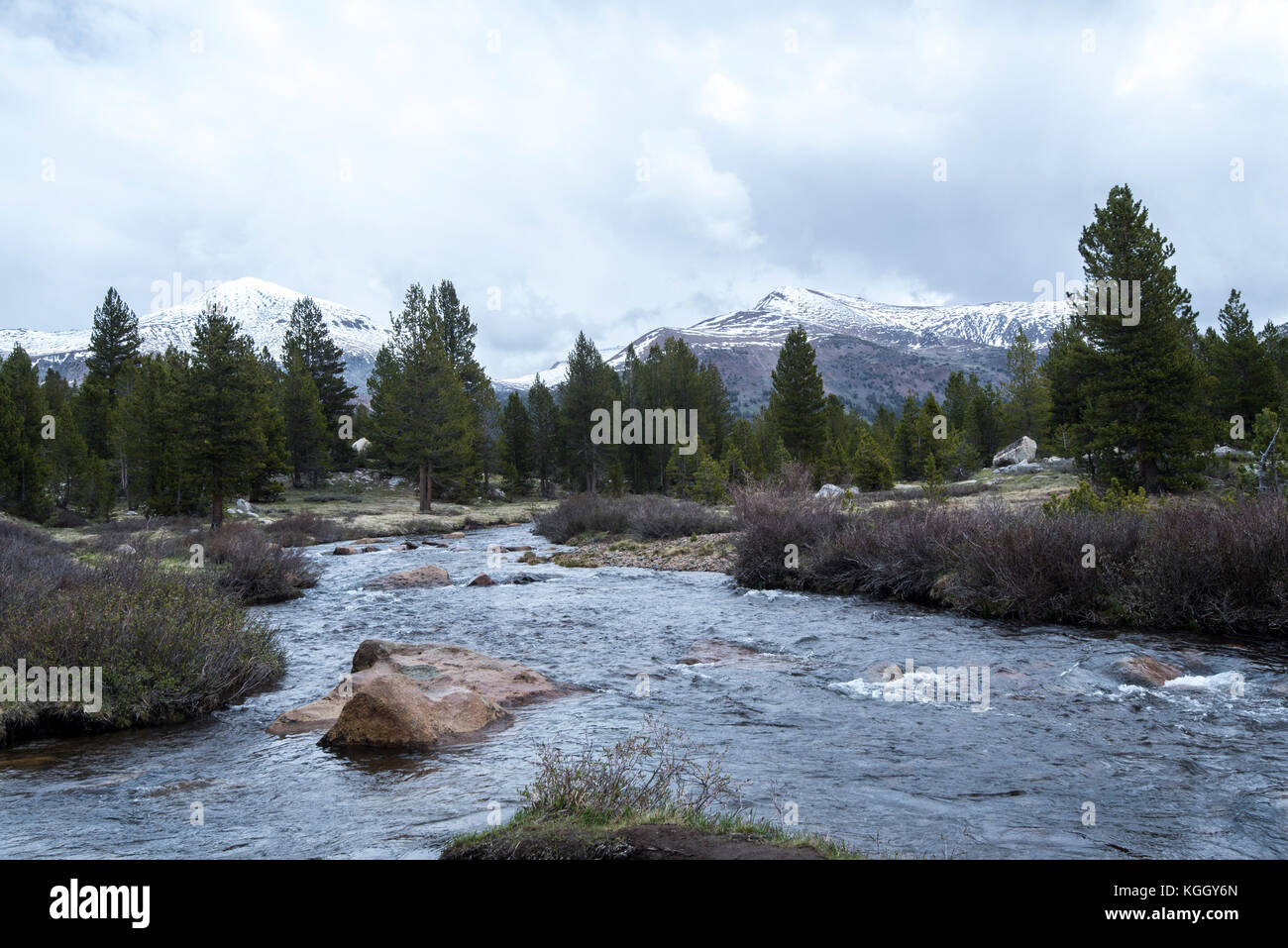 Michel La rivière coule à travers la région de tioga de Yosemite National Park. Banque D'Images