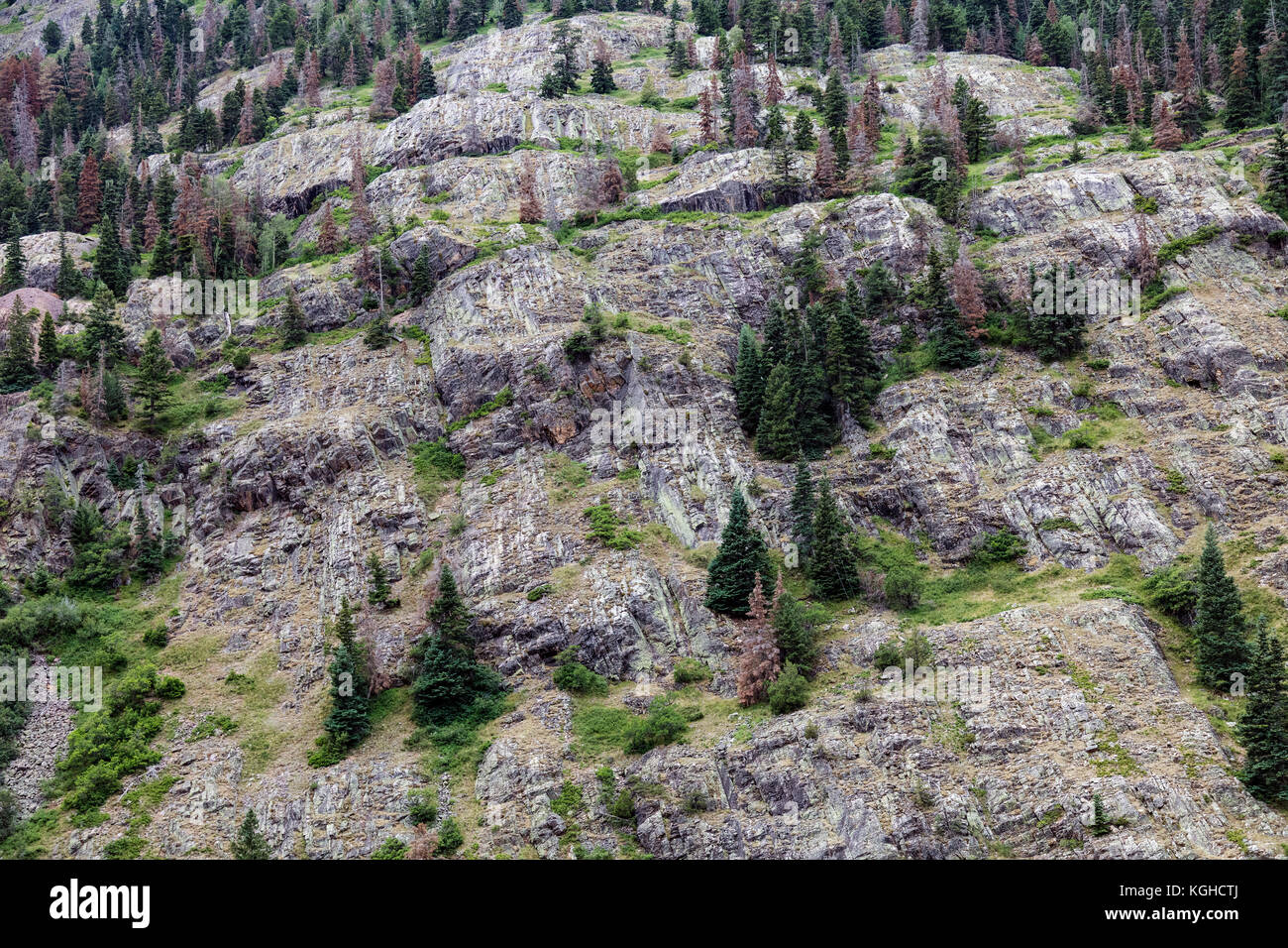 Les strates verticales exposées, près de Ouray, co Banque D'Images