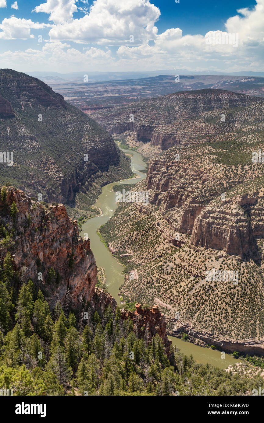 Green River traversant la géologie du monument national des dinosaures, Colorado Banque D'Images