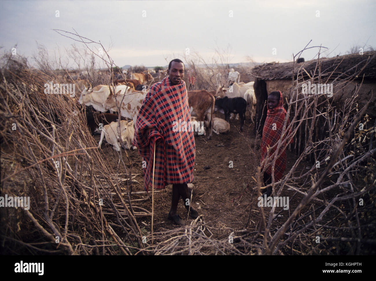 D'une tribu Masai dans sa manyatta près de Masai Mara. Masais sont peut-être le plus célèbre de tous les tribus africaines, vivant dans les grandes plaines du Kenya Banque D'Images