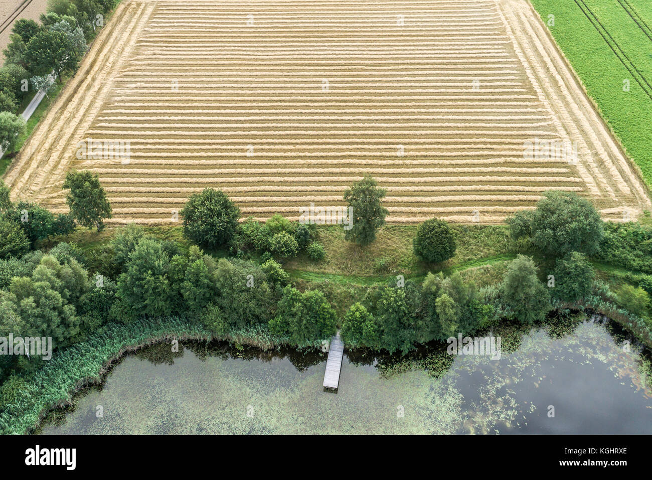 Champ récolté avec des sillons parallèles derrière un étang de pêche, envahies par la photographie aérienne prise en diagonale avec le drone Banque D'Images