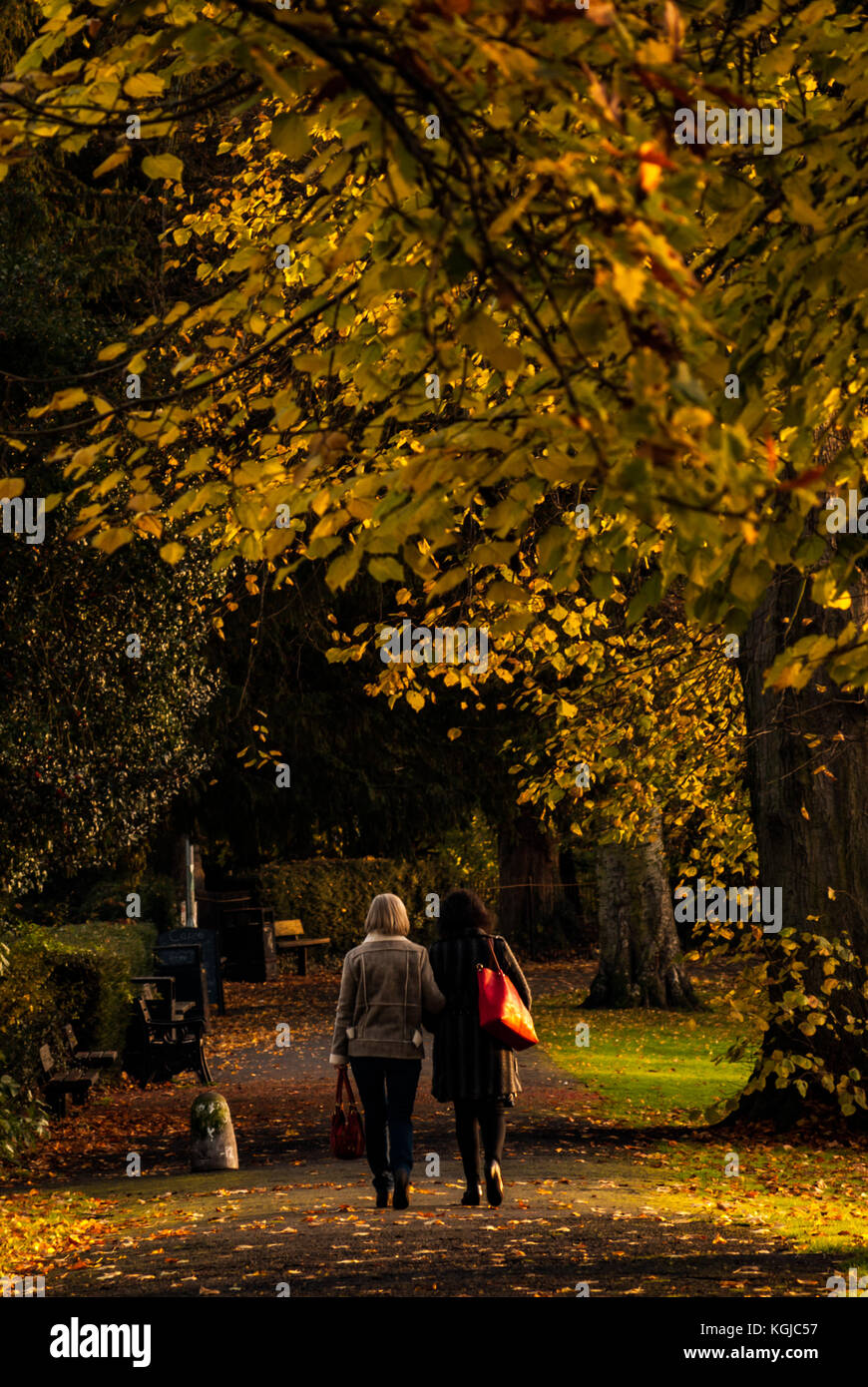 , Leominster Herefordshire. 05Th Nov, 2017. LEOMINSTER - Novembre 08 : deux femmes de profiter d'un après-midi de marche à travers la Grange de Leominster, le 8 novembre 2017. Crédit : Jim Wood/Alamy Live News Banque D'Images