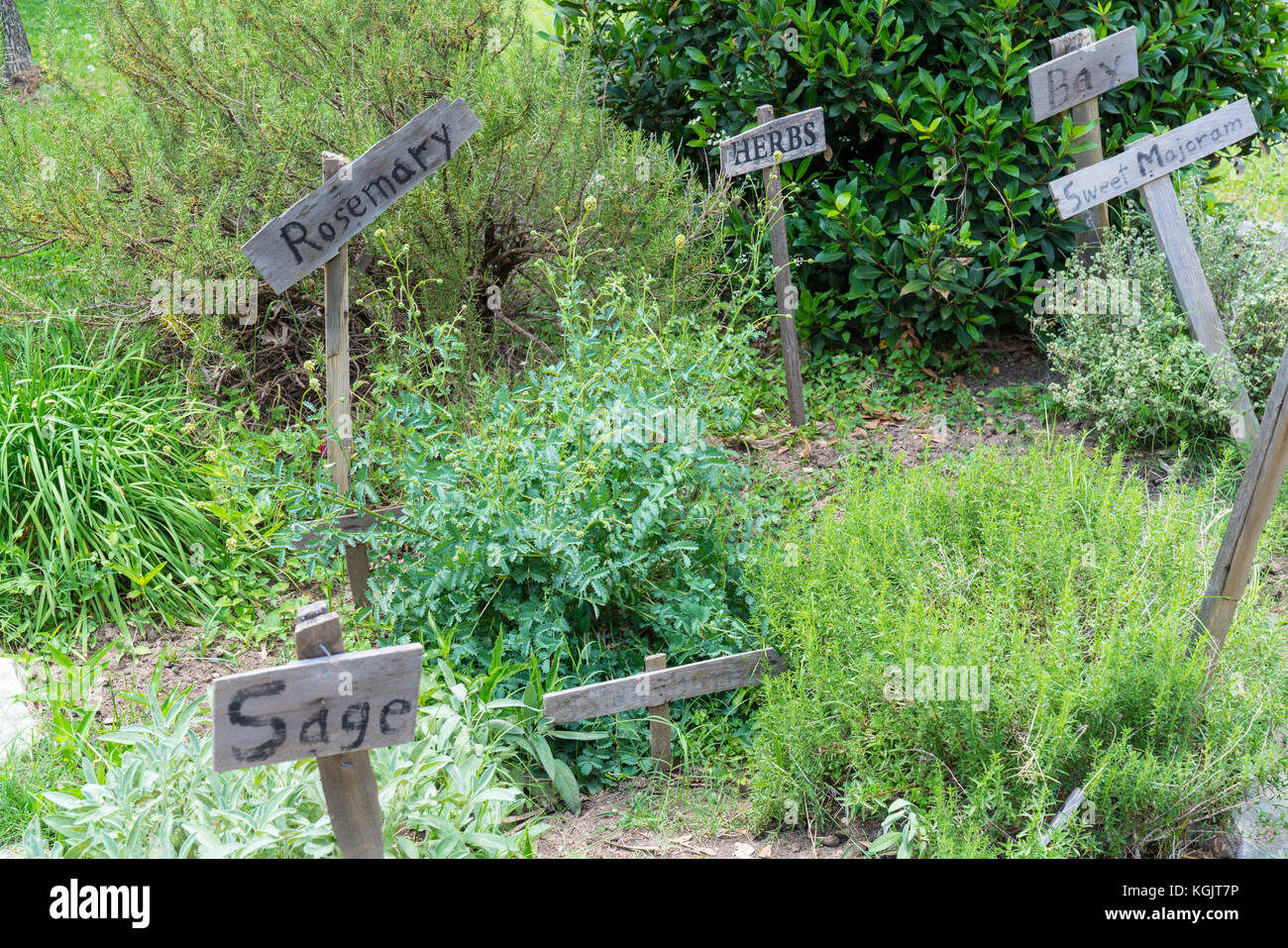 Jardin d'herbe rustique de pays avec des panneaux en bois Banque D'Images