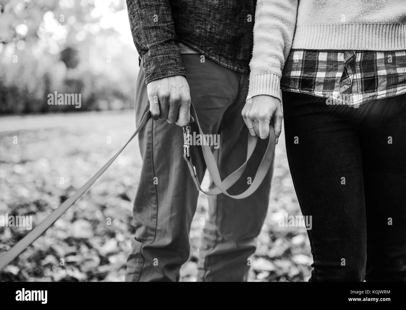 Close up sur les deux mains de romantic couple holding dogs mènent à l'extérieur dans la journée d'automne Banque D'Images