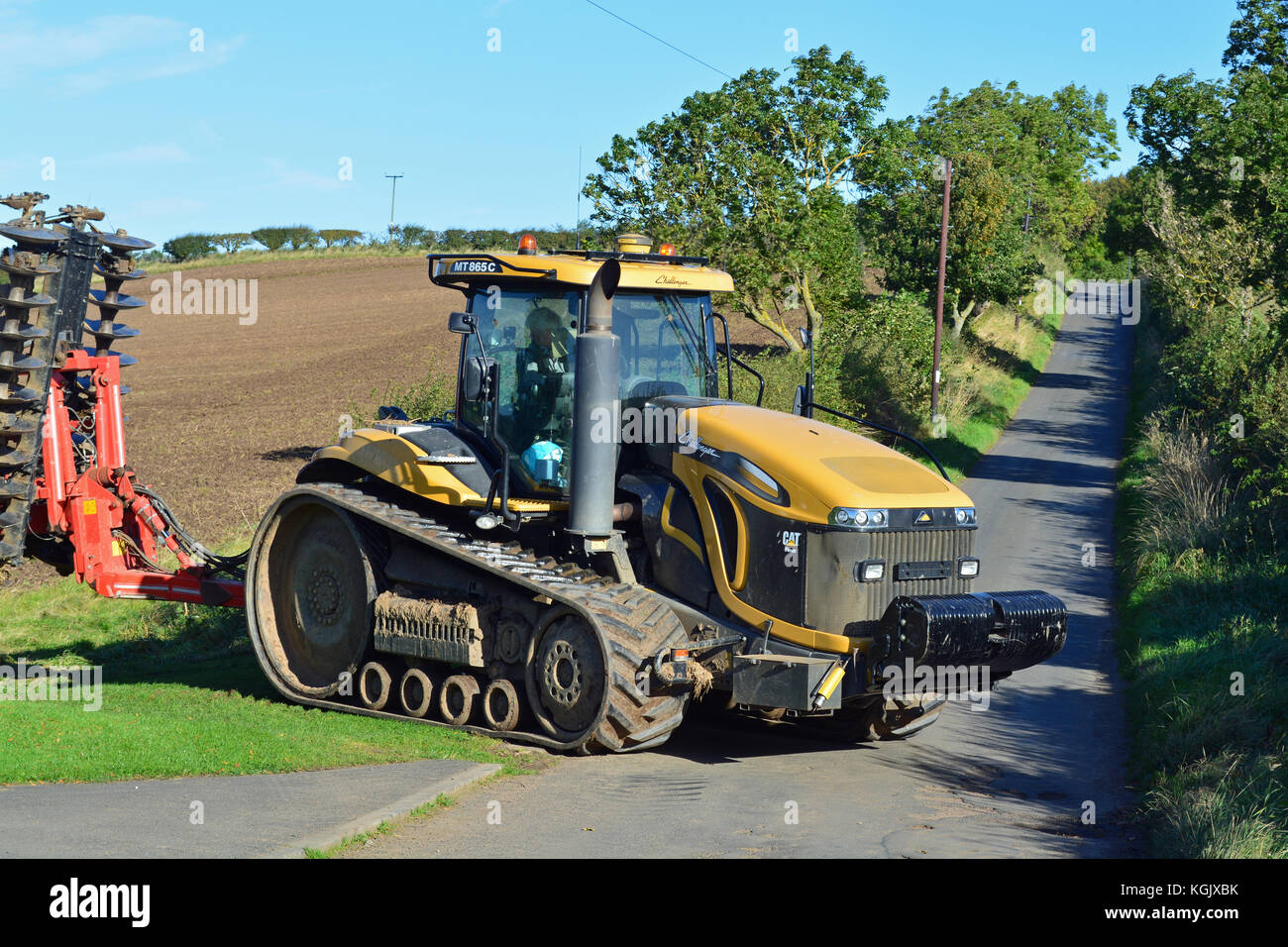 Cat Challenger Banque D'Images