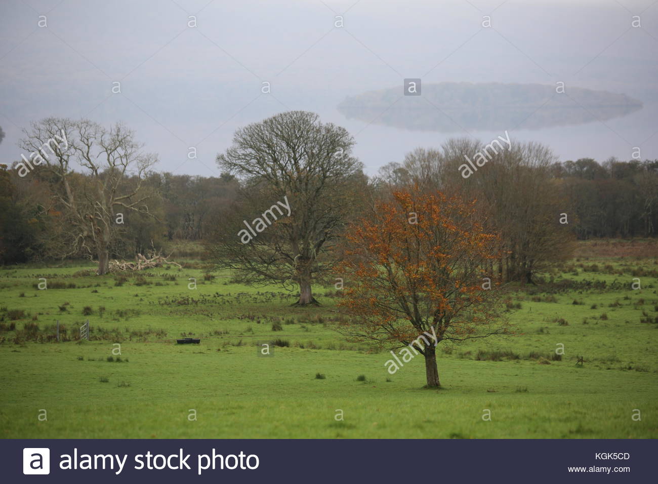 Tôt le matin, la lumière dans le paysage, dans le comté de Kerry, Irlande. Banque D'Images