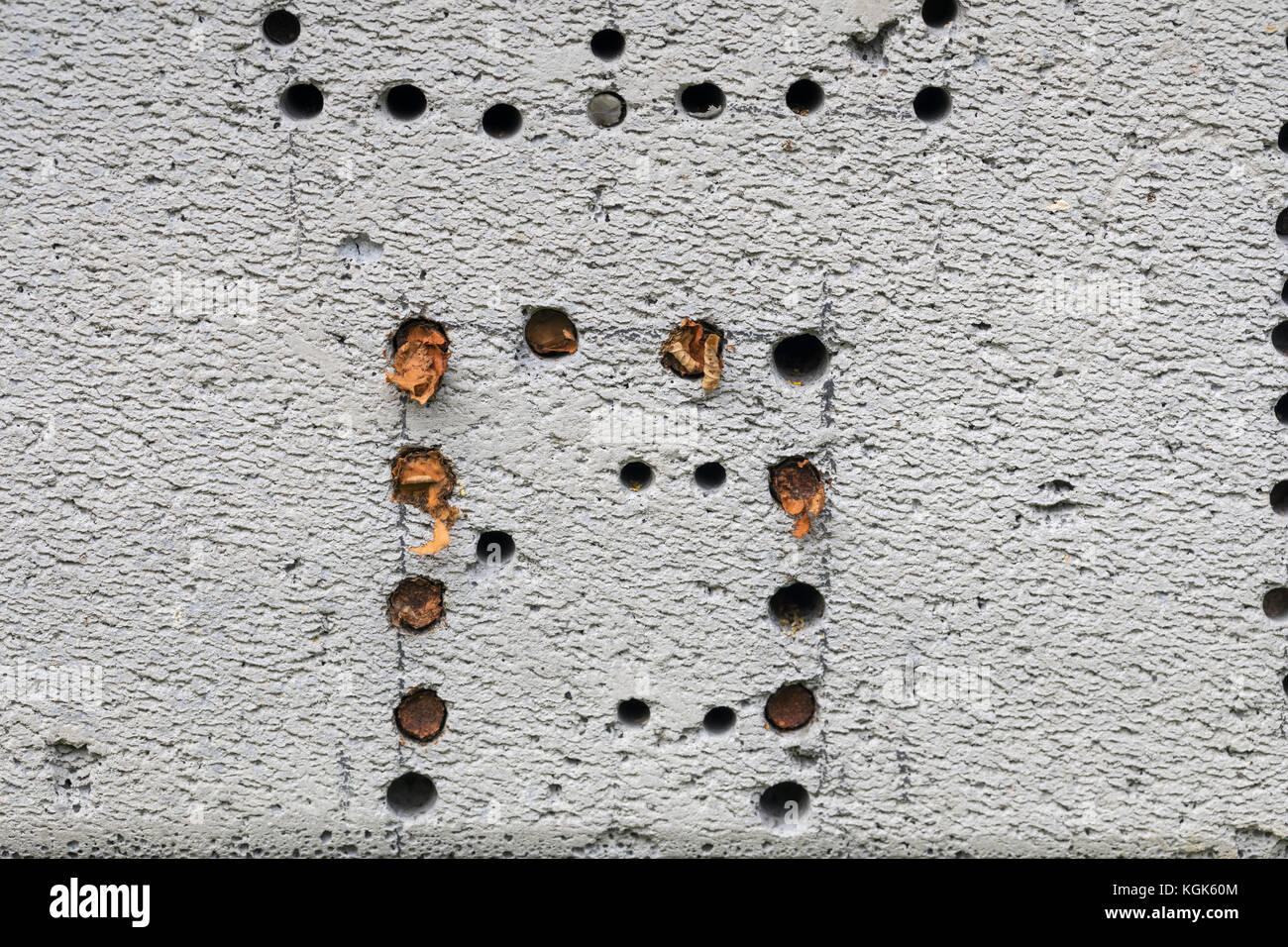 Insecte House ; cellules bouchées dans le bloc thermique Cornwall ; Royaume-Uni Banque D'Images