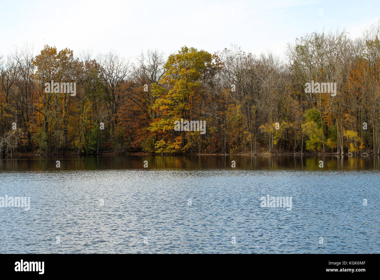 Les feuilles d'automne dans le Michigan en raison d'un lac intérieur en novembre Banque D'Images