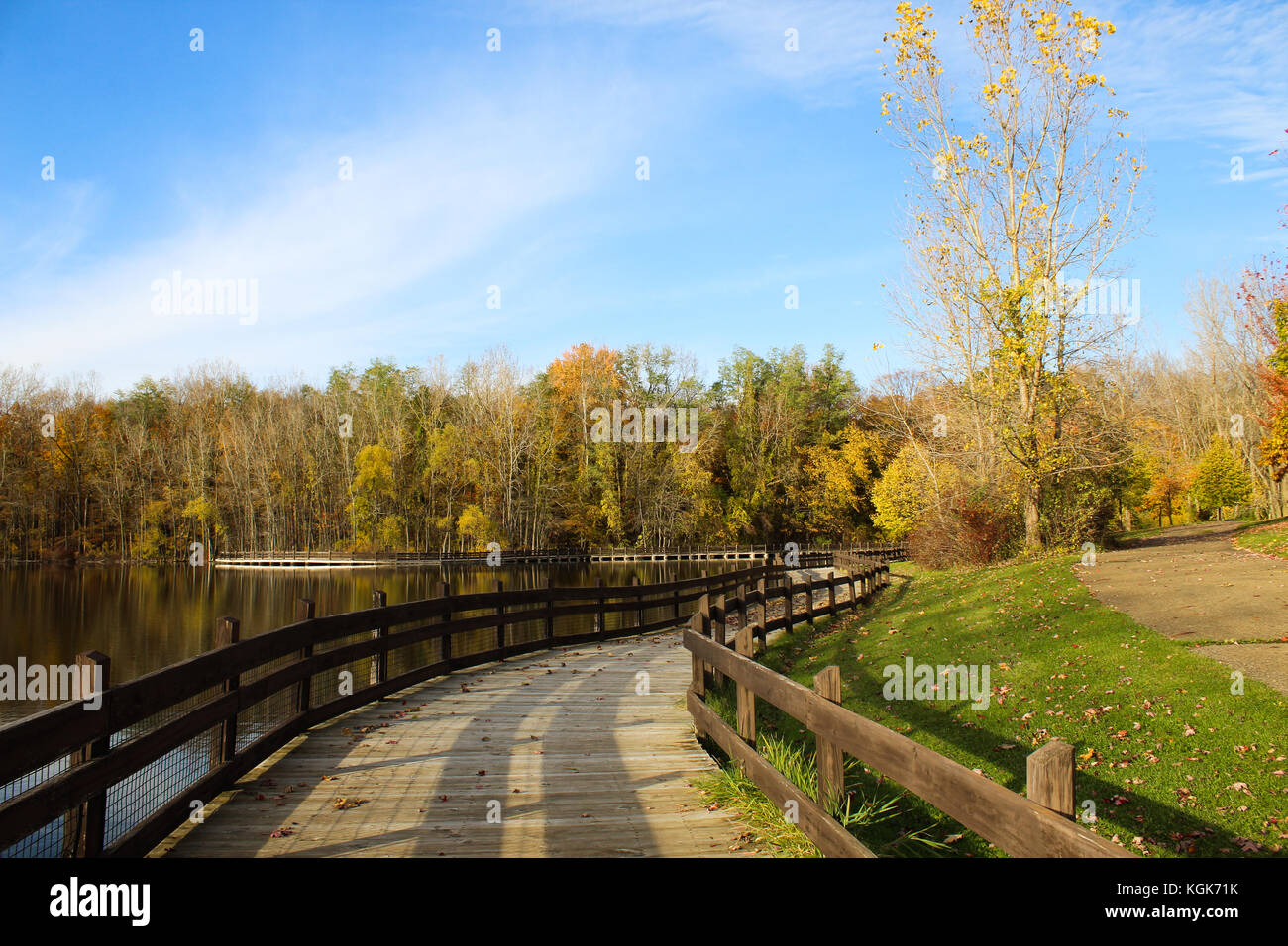 Les feuilles d'automne et les couleurs sur les arbres dans un parc dans le centre-ouest de l'état du Michigan Banque D'Images
