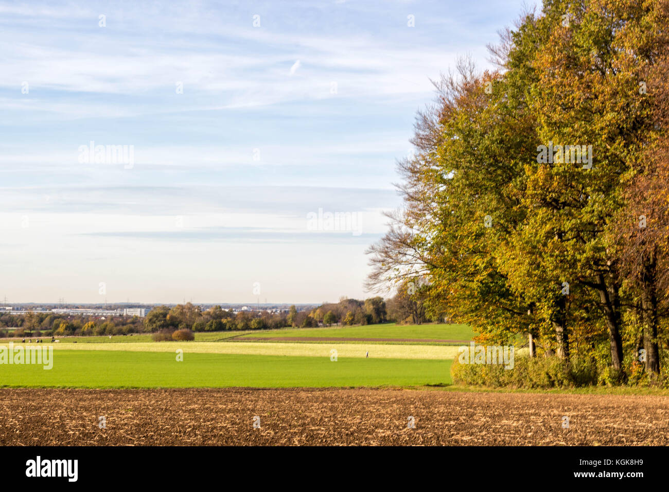 Feld- und Wegrand Banque D'Images