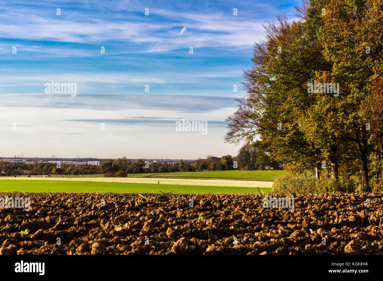 Feld- und Wegrand Banque D'Images