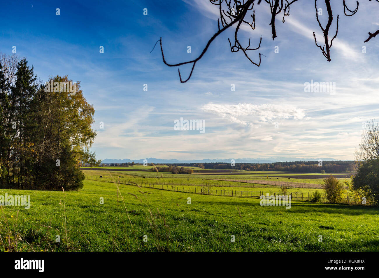 Feld- und Wegrand Banque D'Images